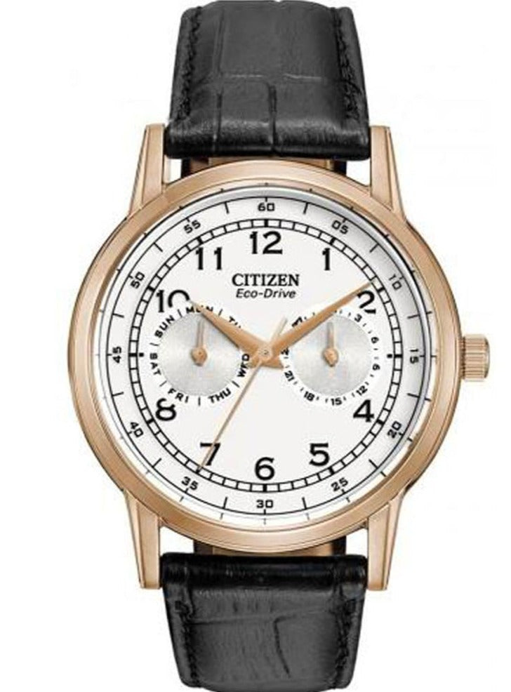 Shop Authentic Citizen Watch Eco Drive Day & Date White Dial Black Leather Strap Watch For Men - AO9003-16A - Luxxuri