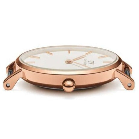 Shop Authentic Daniel Wellington Classic Petite White Dial Rose Gold Mesh Bracelet Watch For Women - DW00100219 - Luxxuri