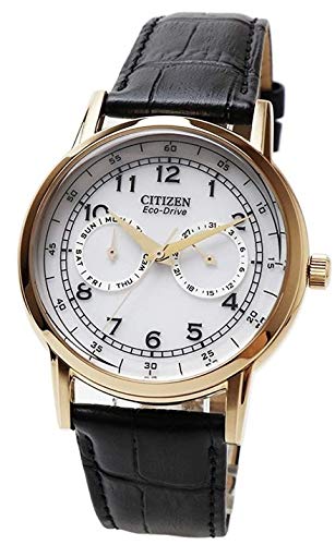 Shop Authentic Citizen Watch Eco Drive Day & Date White Dial Black Leather Strap Watch For Men - AO9003-16A - Luxxuri