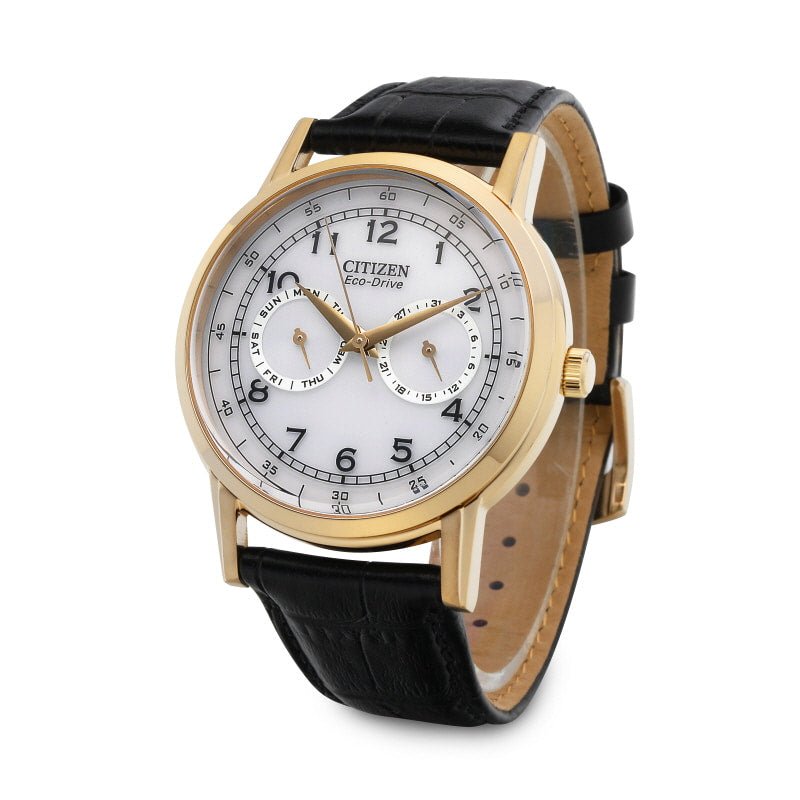 Shop Authentic Citizen Watch Eco Drive Day & Date White Dial Black Leather Strap Watch For Men - AO9003-16A - Luxxuri