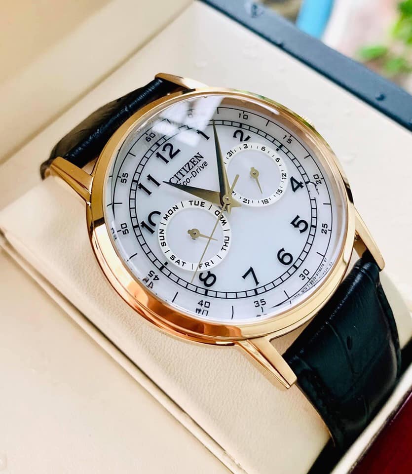 Shop Authentic Citizen Watch Eco Drive Day & Date White Dial Black Leather Strap Watch For Men - AO9003-16A - Luxxuri