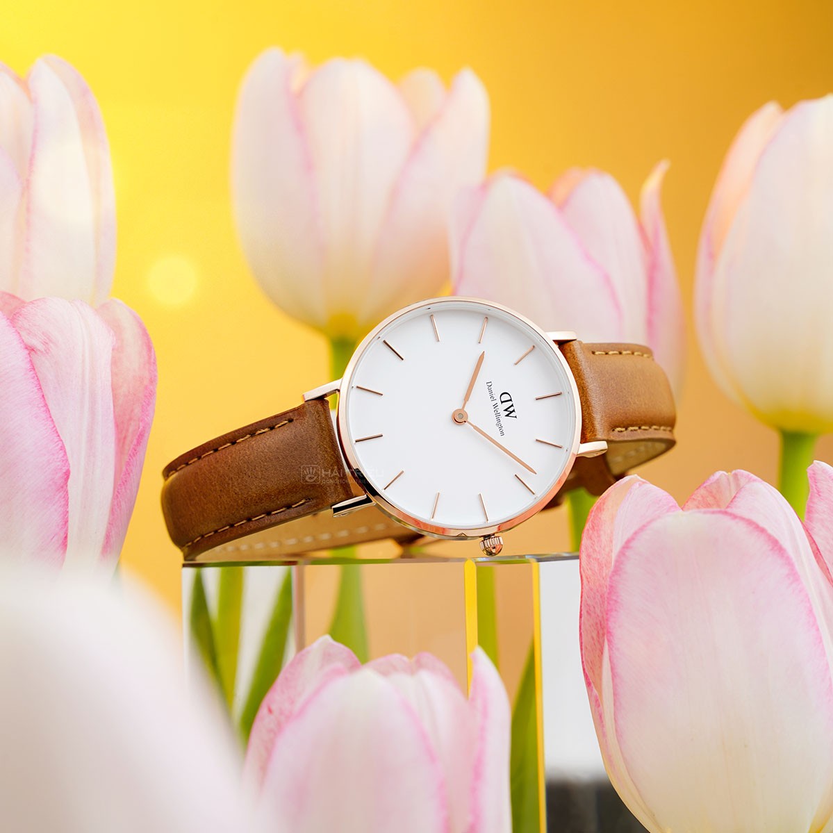 Shop Authentic Daniel Wellington Petite Durham White Dial Brown Leather Strap Watch For Women - DW00100172 - Luxxuri