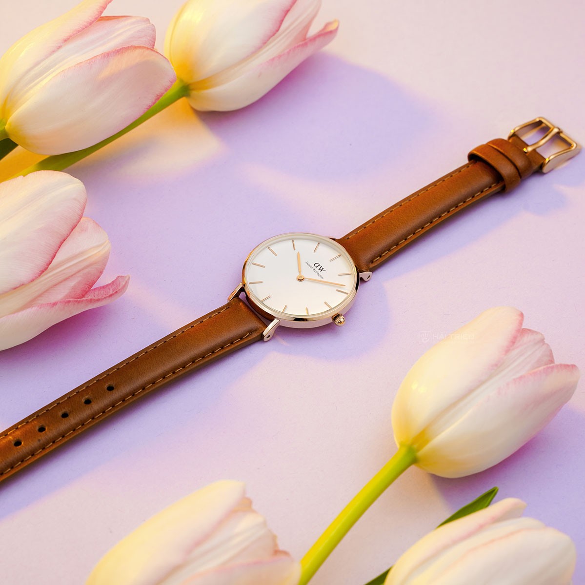 Shop Authentic Daniel Wellington Petite Durham White Dial Brown Leather Strap Watch For Women - DW00100172 - Luxxuri