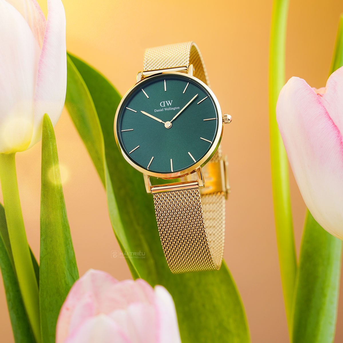 Shop Authentic Daniel Wellington Petite Emerald Green Dial Gold Mesh Strap Watch For Women - DW00100480 - Luxxuri