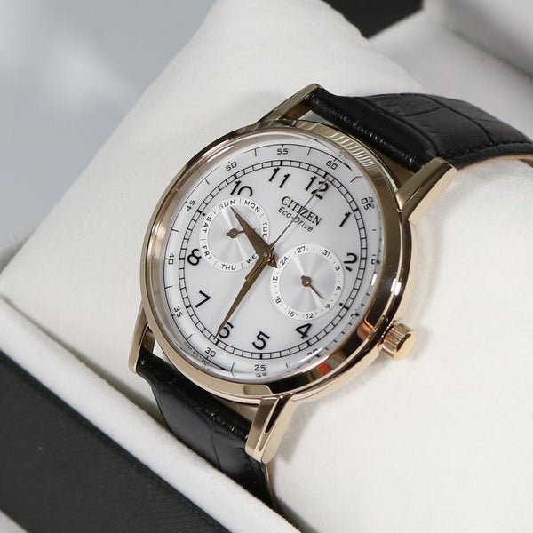 Shop Authentic Citizen Watch Eco Drive Day & Date White Dial Black Leather Strap Watch For Men - AO9003-16A - Luxxuri