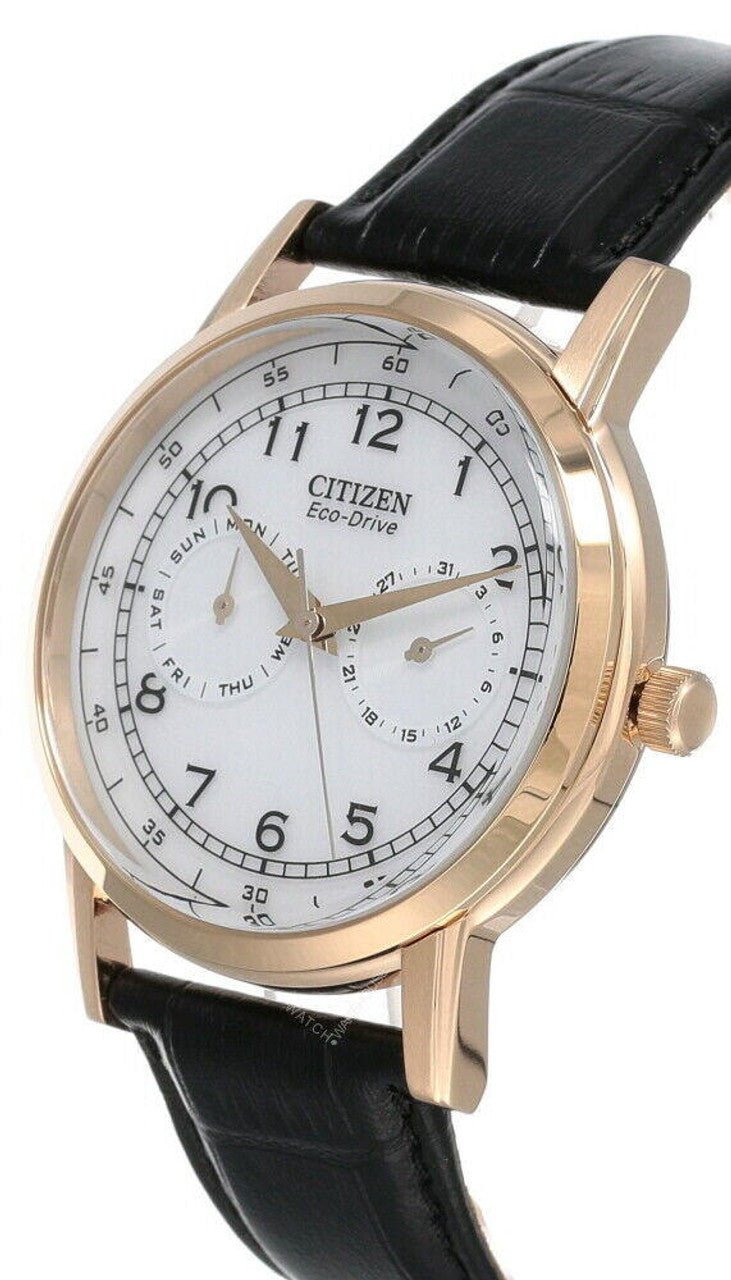 Shop Authentic Citizen Watch Eco Drive Day & Date White Dial Black Leather Strap Watch For Men - AO9003-16A - Luxxuri