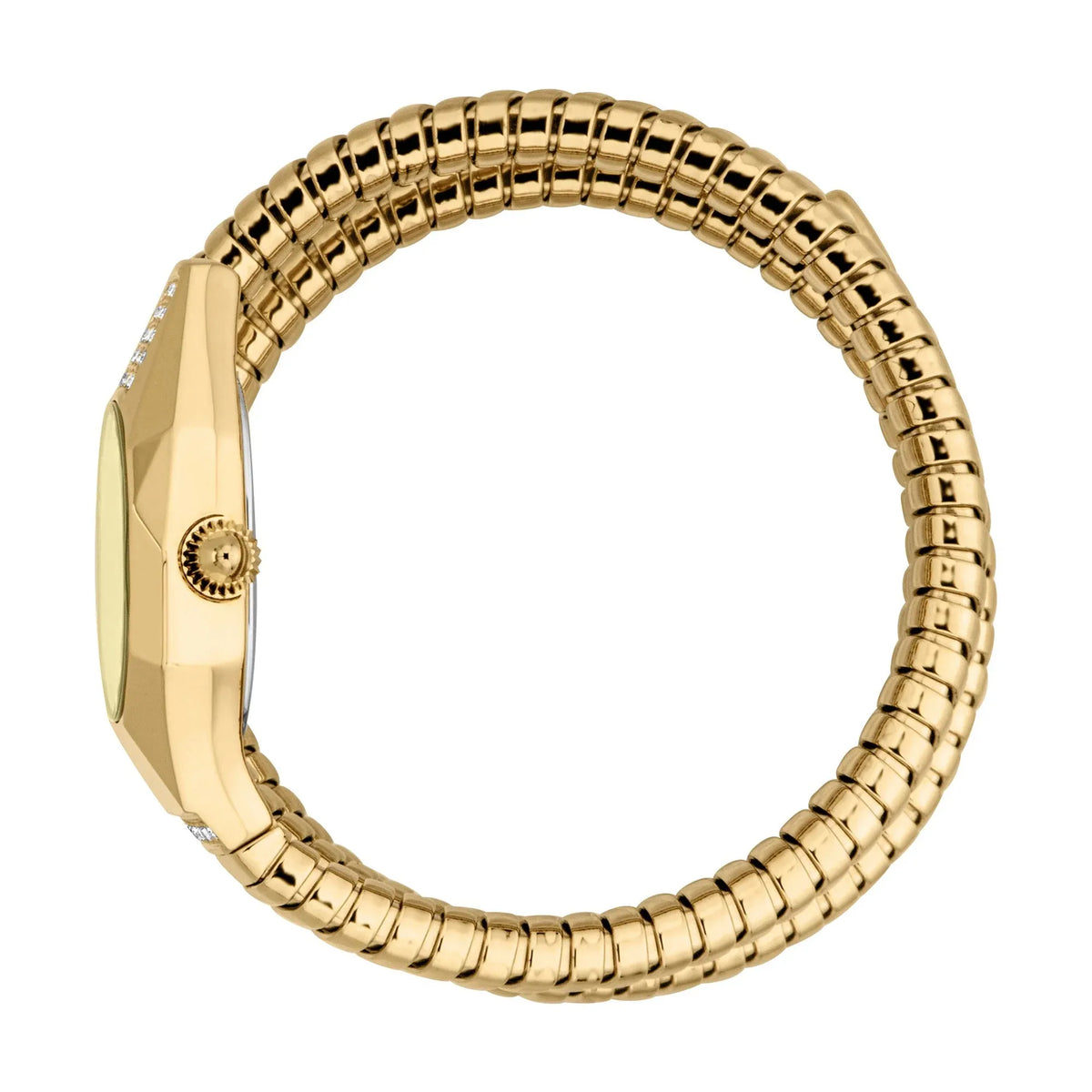Just Cavalli Lunara Silver Dial Two Tone Steel Strap Watch for Women - JC1L397M0065