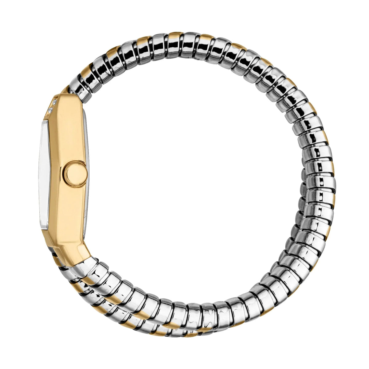 Just Cavalli Splora Silver Dial Two Tone Steel Strap Watch for Women - JC1L394M0055