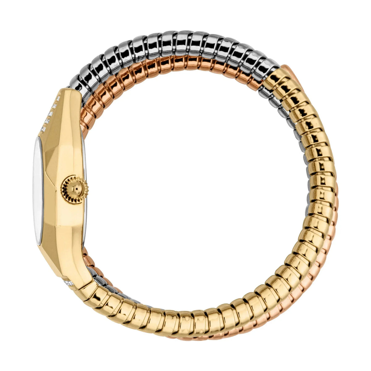 Just Cavalli Lunara Silver Dial Tri Tone Steel Strap Watch for Women - JC1L397M0095