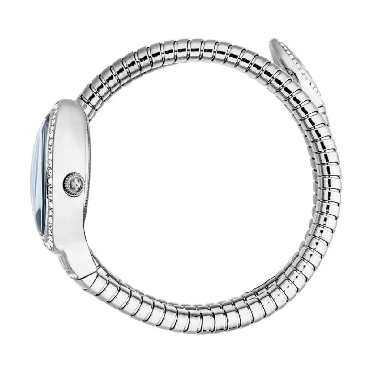 Just Cavalli Carezza Blue Dial Silver Steel Strap Watch for Women - JC1L372M0015
