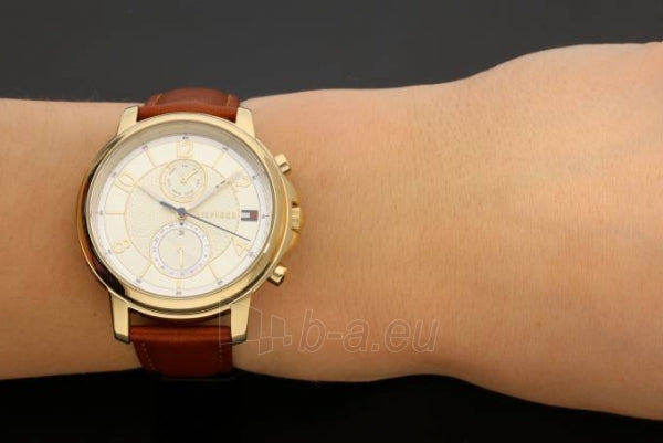 Shop Authentic Tommy Hilfiger Claudia Rose Gold Dial Brown Leather Strap Watch for Women - 1781818 - Luxxuri