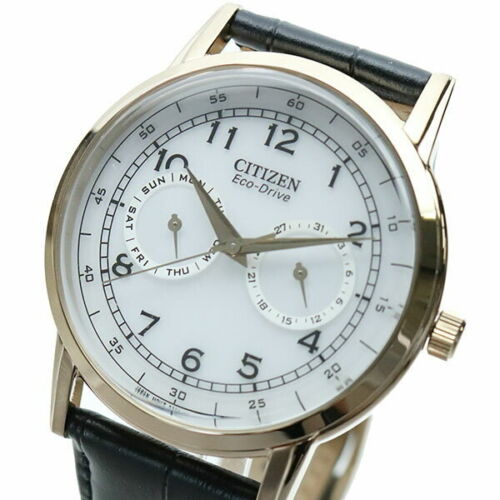 Shop Authentic Citizen Watch Eco Drive Day & Date White Dial Black Leather Strap Watch For Men - AO9003-16A - Luxxuri