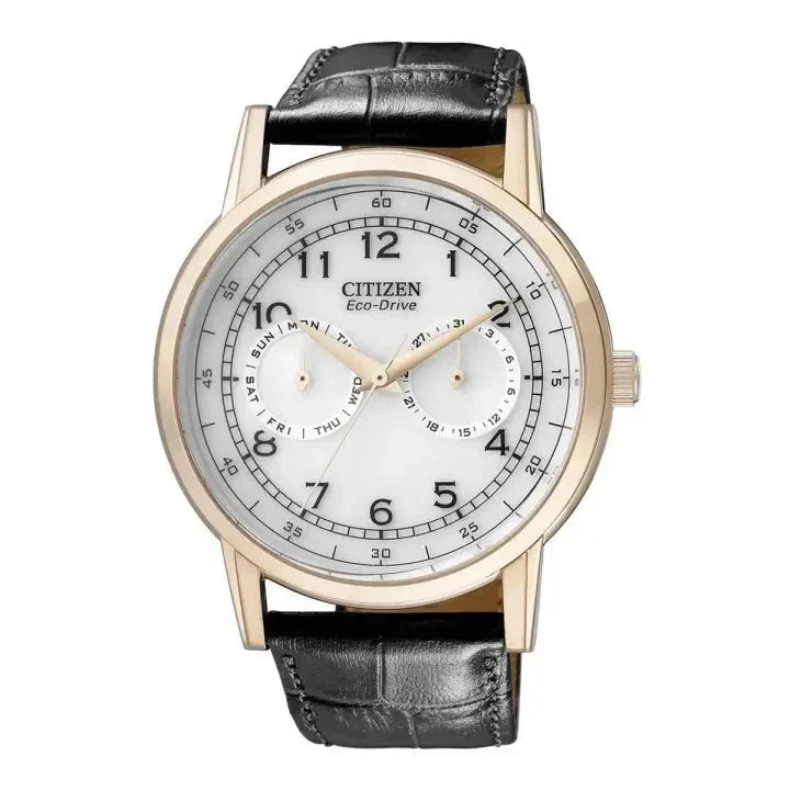  Shop Authentic Citizen Watch Eco Drive Day & Date White Dial Black Leather Strap Watch For Men - AO9003-16A - Luxxuri