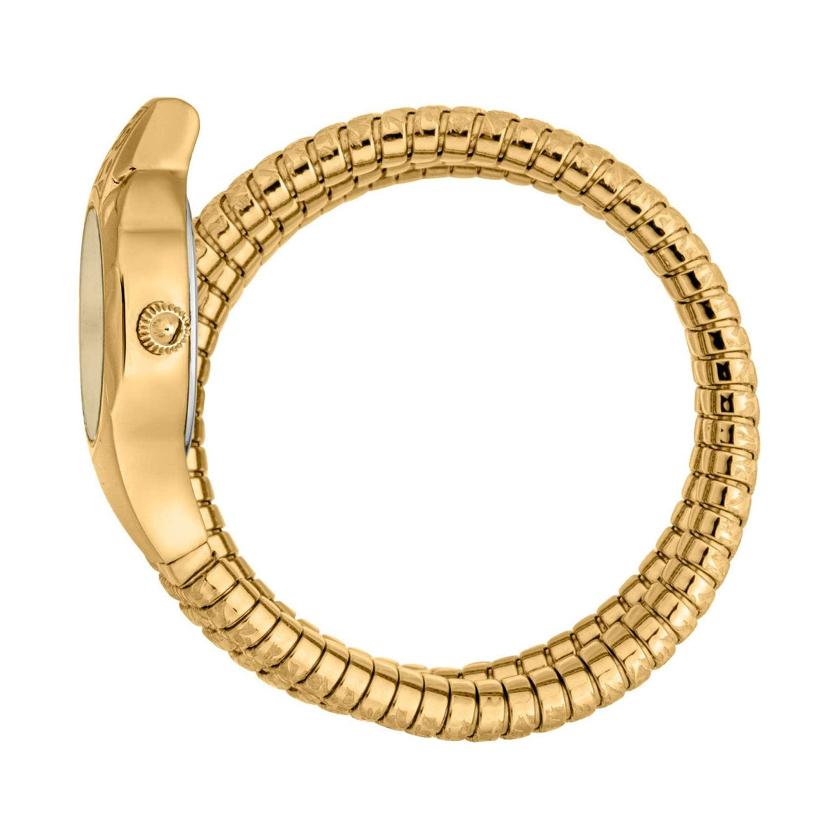 Just Cavalli Ravenna Gold Dial Gold Steel Strap Watch for Women - JC1L271M0025