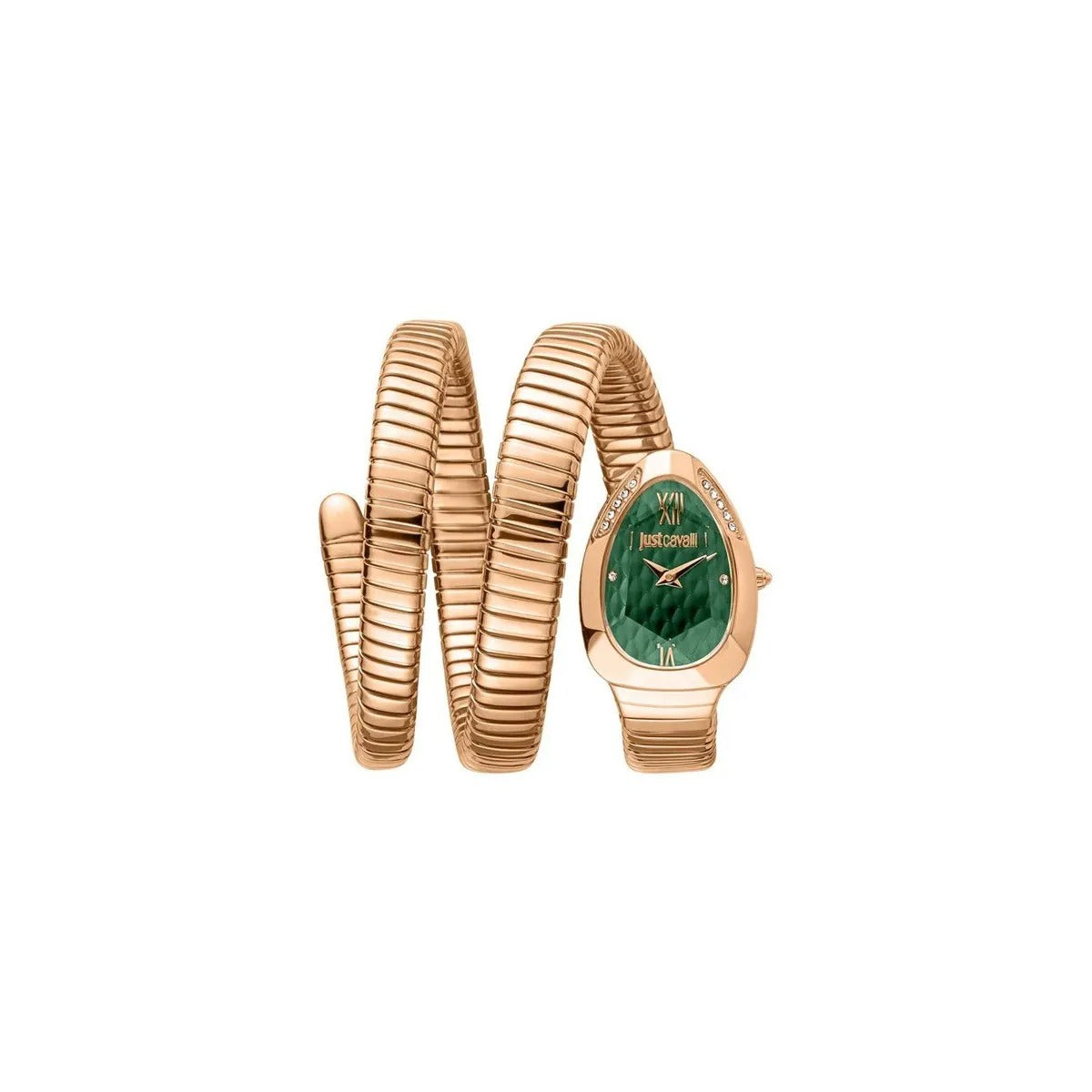 Just Cavalli Glam Evo 9 Green Dial Rose Gold Steel Strap Watch for Women - JC1L224M0055