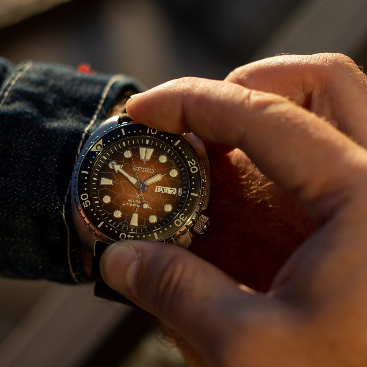 Seiko Prospex US Special Edition King Turtle Automatic Brown Dial Silver Steel Strap Watch for Men - SRPH55
