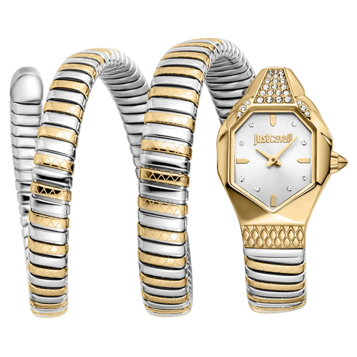 Just Cavalli Ambra Silver Dial Two Tone Steel Strap Watch for Women - JC1L370M0055